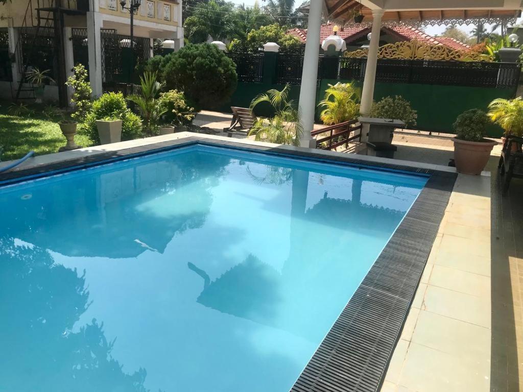 Kingz And Queenz - Negombo Exterior photo